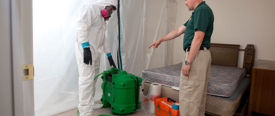 Rosemead , CA mold removal process